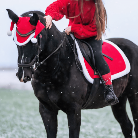 Weihnachts Schabracke York