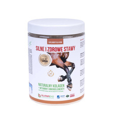 Kolagen Alvanaeko 700 g