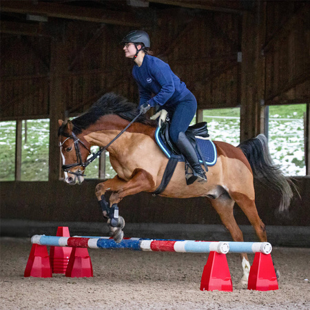 Pylonetti Cavaletti Stangenblock