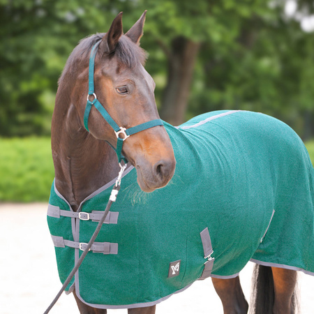 York Santi Stalldecke mit Gurten