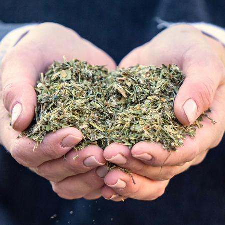 Nierenkrauter Stiefel