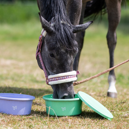 Miska York Erin z pokrywką 5 L NEW
