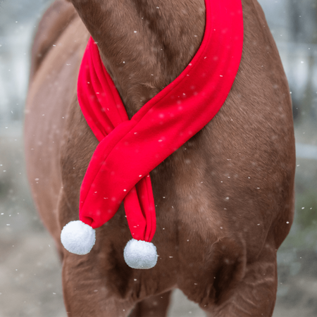 Szalik dla konia York świąteczny