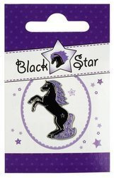Pin HR Black Star