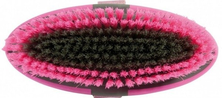 Kardätsche York Axel