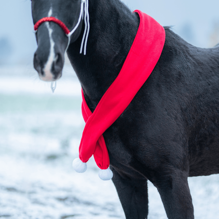 Szalik dla konia York świąteczny
