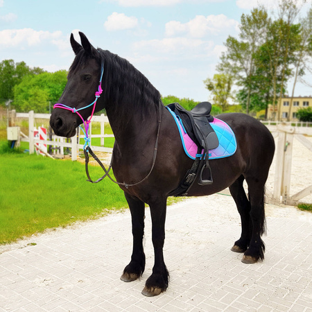 Czaprak Horsenjoy Rainbow Pastel wszechstronny