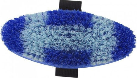 Kardätsche York Happy