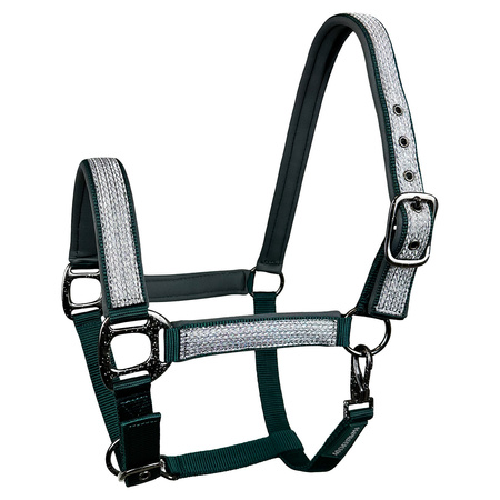  Halfter Horsenjoy Glow