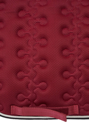 Czaprak Horze Smoky Twilight skokowy