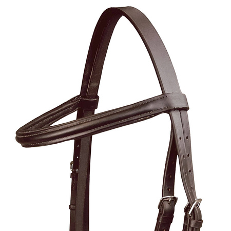 Tranzelka York Frida