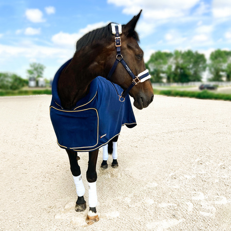 Horsenjoy Show Abschwitzdecke