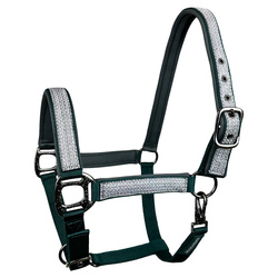 Kantar Horsenjoy Glow