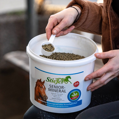 Senior Mineral Stiefel