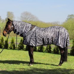 Fliegendecke York Zebra Combo