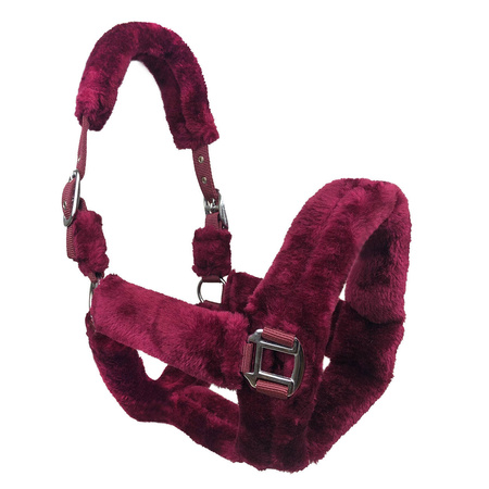 Halfter Horsenjoy Cuddly