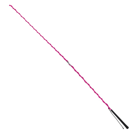 Longierpeitsche York 2-teiler