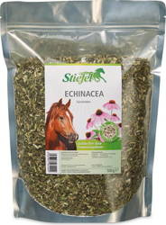 Echinacea Stiefel geschnitten