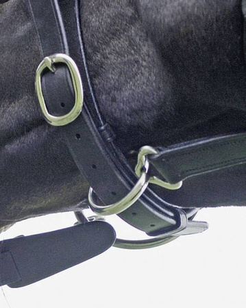 Uździenica Busse Solibel