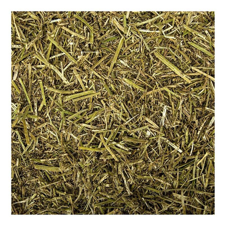 Höveler Luzerne Mix