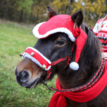 Dzwonki do kantara York świąteczne