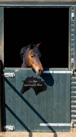 Tafelaufkleber HR mit Pferden