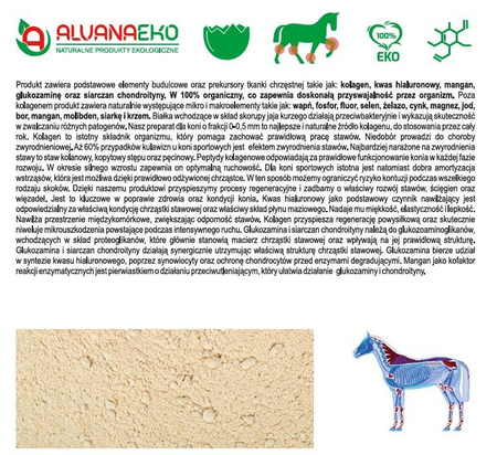 Kolagen Alvanaeko 700 g