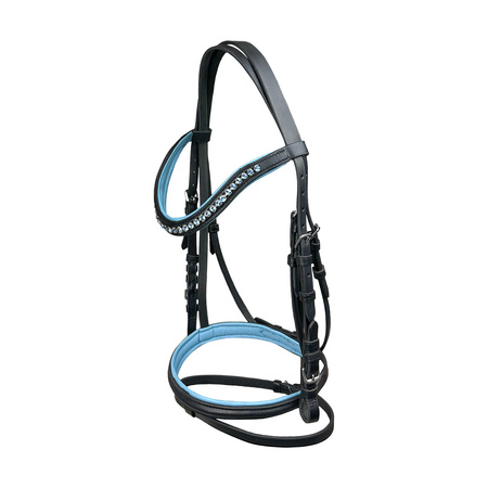 Tranzelka York Abigail