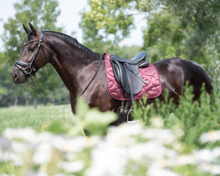 Czaprak QHP Lily ujeżdżeniowy