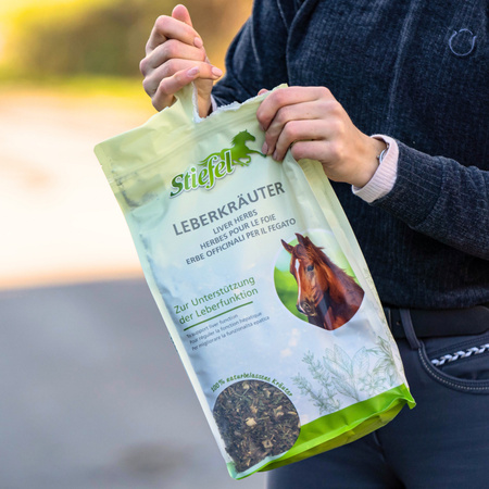 Leberkrauter Stiefel na funkcje wątroby