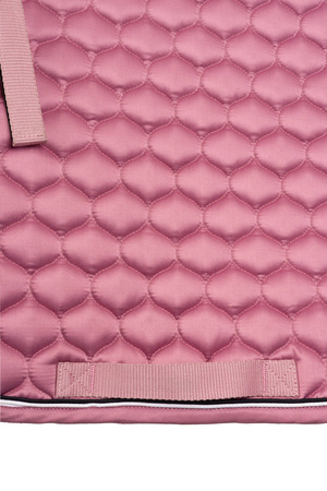 Czaprak Horze Sandnes VS