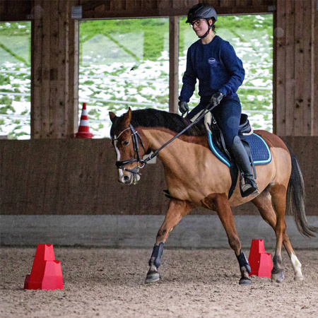Pylonetti Cavaletti Stangenblock