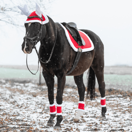 Weihnachts Bandagen York