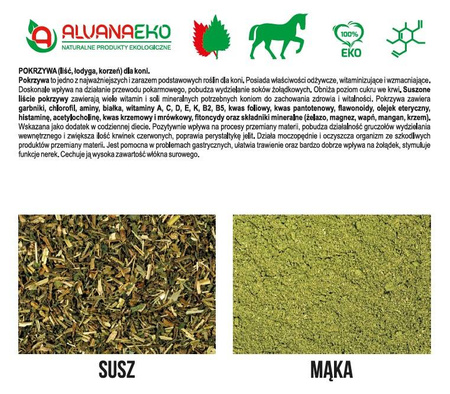 Pokrzywa Alvanaeko susz