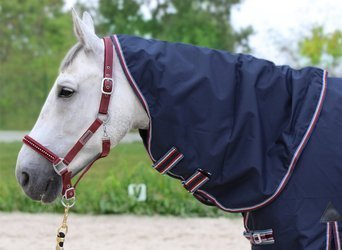 Halsteil Horsenjoy