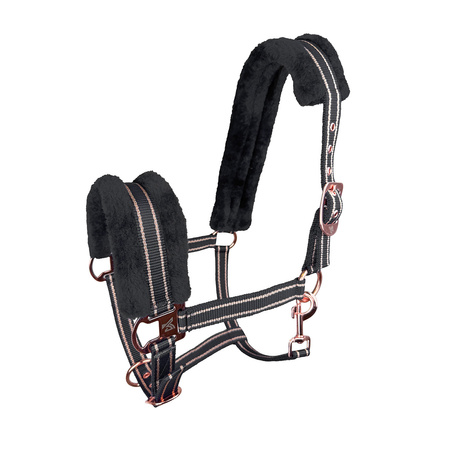 Kantar York Gold Star