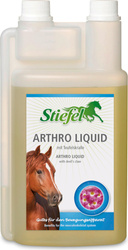 Arthro Liquid Stiefel