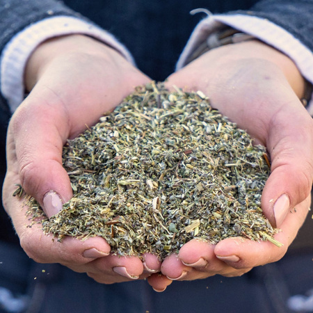 Darmkrauter Stiefel na układ pokarmowy