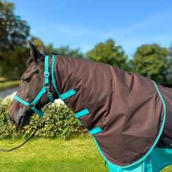 Kaptur do derki York Clarion