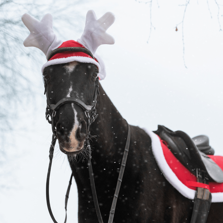 Nauszniki York świąteczne Renifer