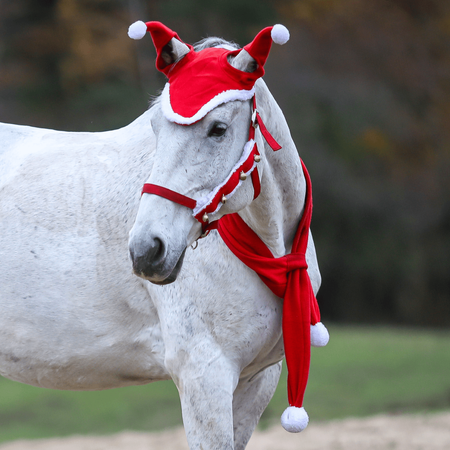 Szalik dla konia York świąteczny