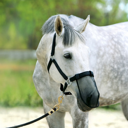 Maska na nos York przeciw owadom