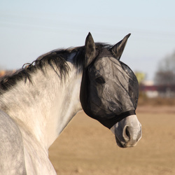 Fliegenmaske York Anika