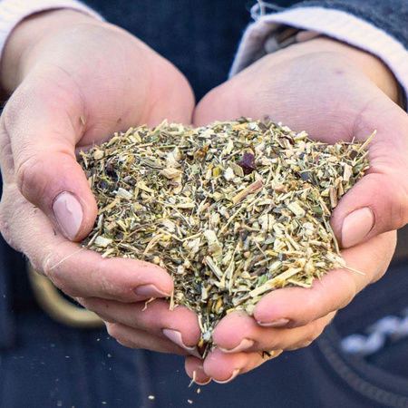 Immunkrauter Stiefel na układ układ odpornościowy