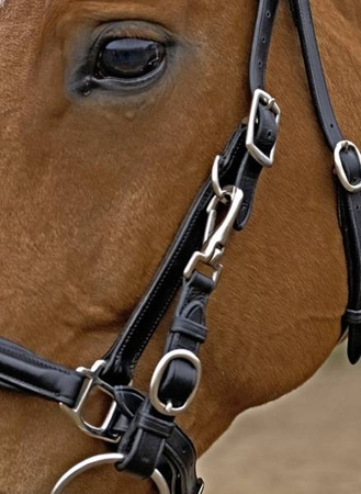 Uździenica Busse Solibel