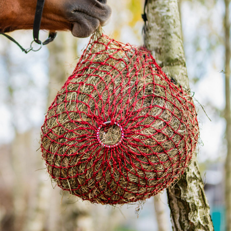 Siatka na siano York Duo