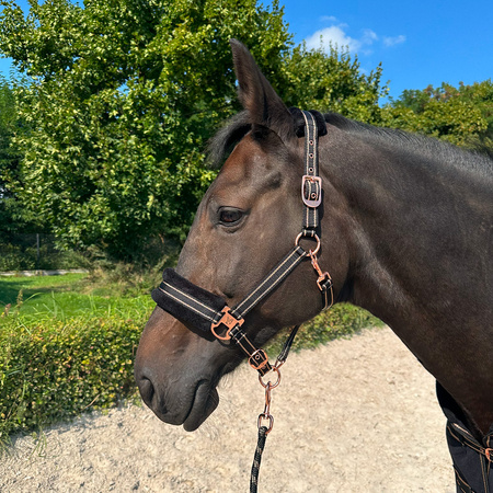 Halfter York Gold Star