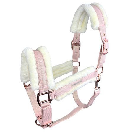 Halfter Horsenjoy Glossy