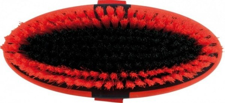 Kardätsche York Axel